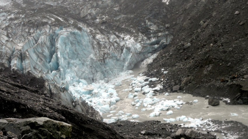 Fox Glacier