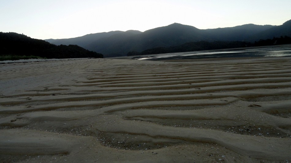 Low-Tide Awaroa Bay Hills & Wave Sands