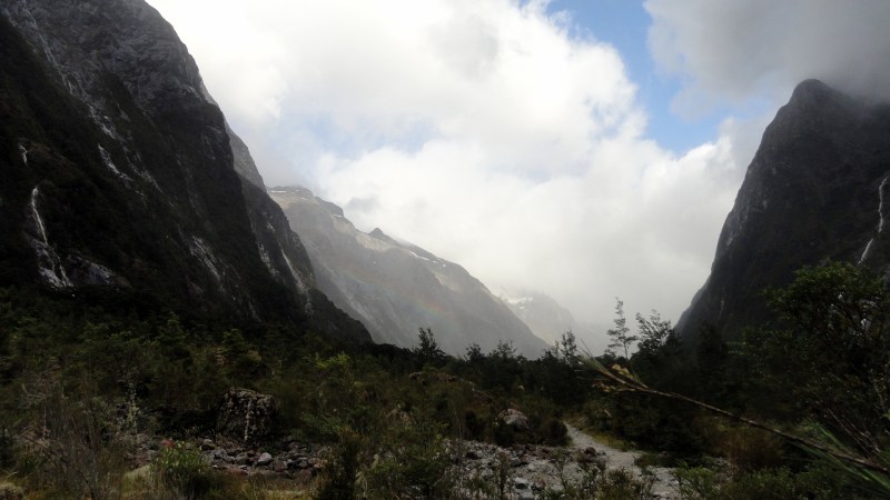Milford Track Valley Vista