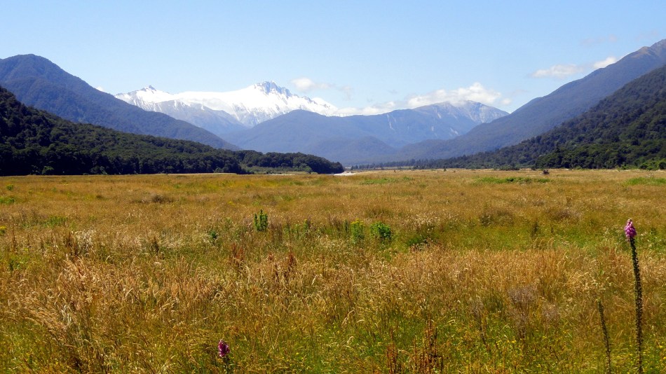 Southern Alps 3
