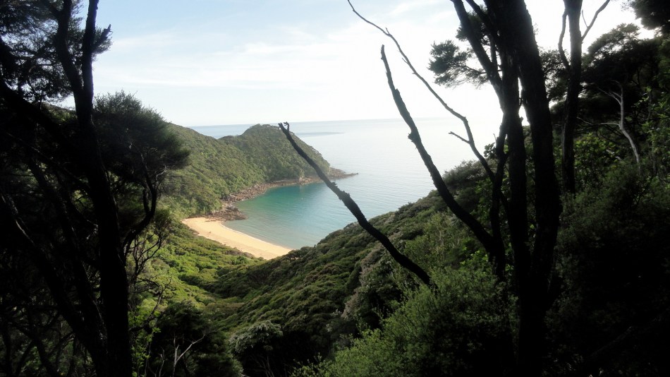 Tasman Whariwharangi Bay