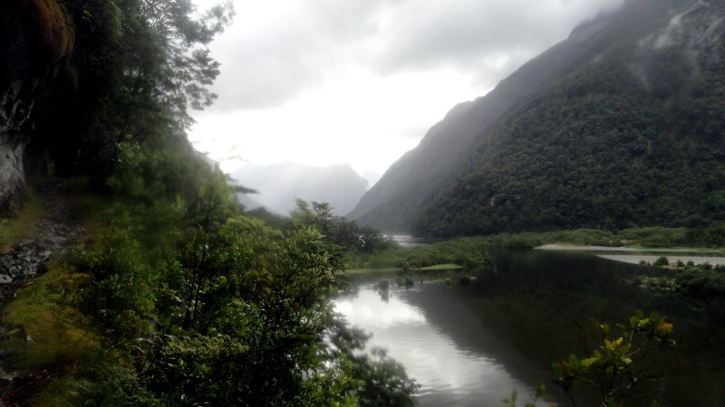 Track Along Arthur River Through Raindrops