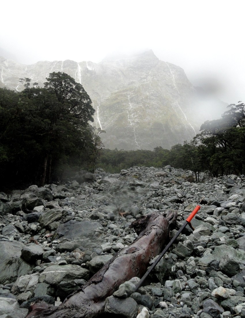 Trail Crossing Landslip