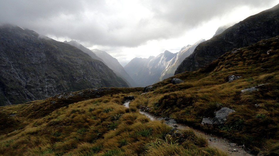 Trail Through McKinnon Pass