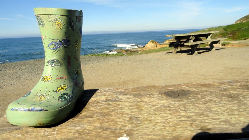 Bodega Head Boot & Coast
