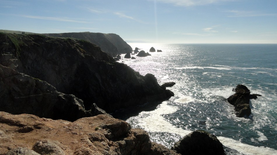 Bodega Head Cliffs