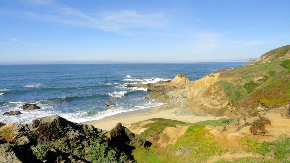 Bodega Head Coast