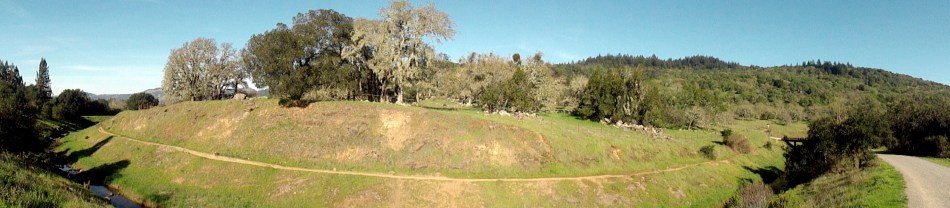 150220 Anadell Creek Pano