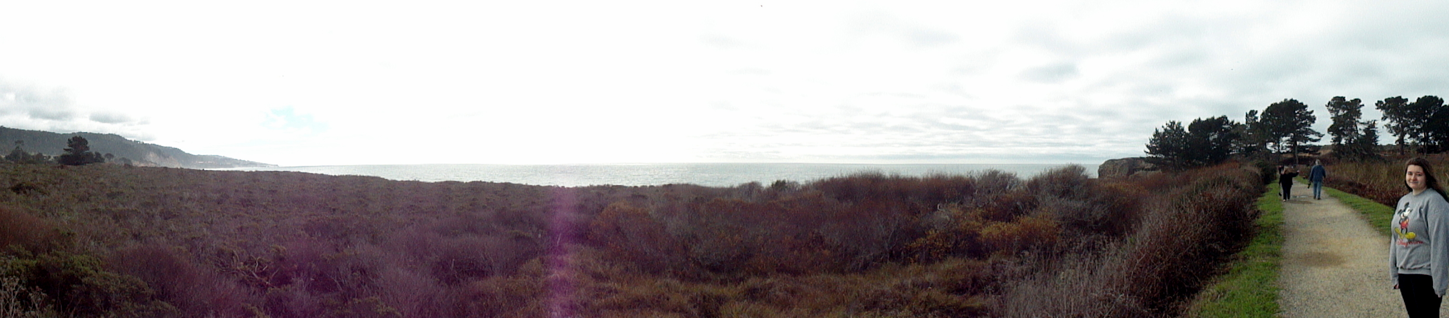 Ano Nuevo Coast Pano