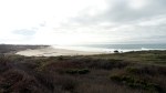 Ano Nuevo Coast1