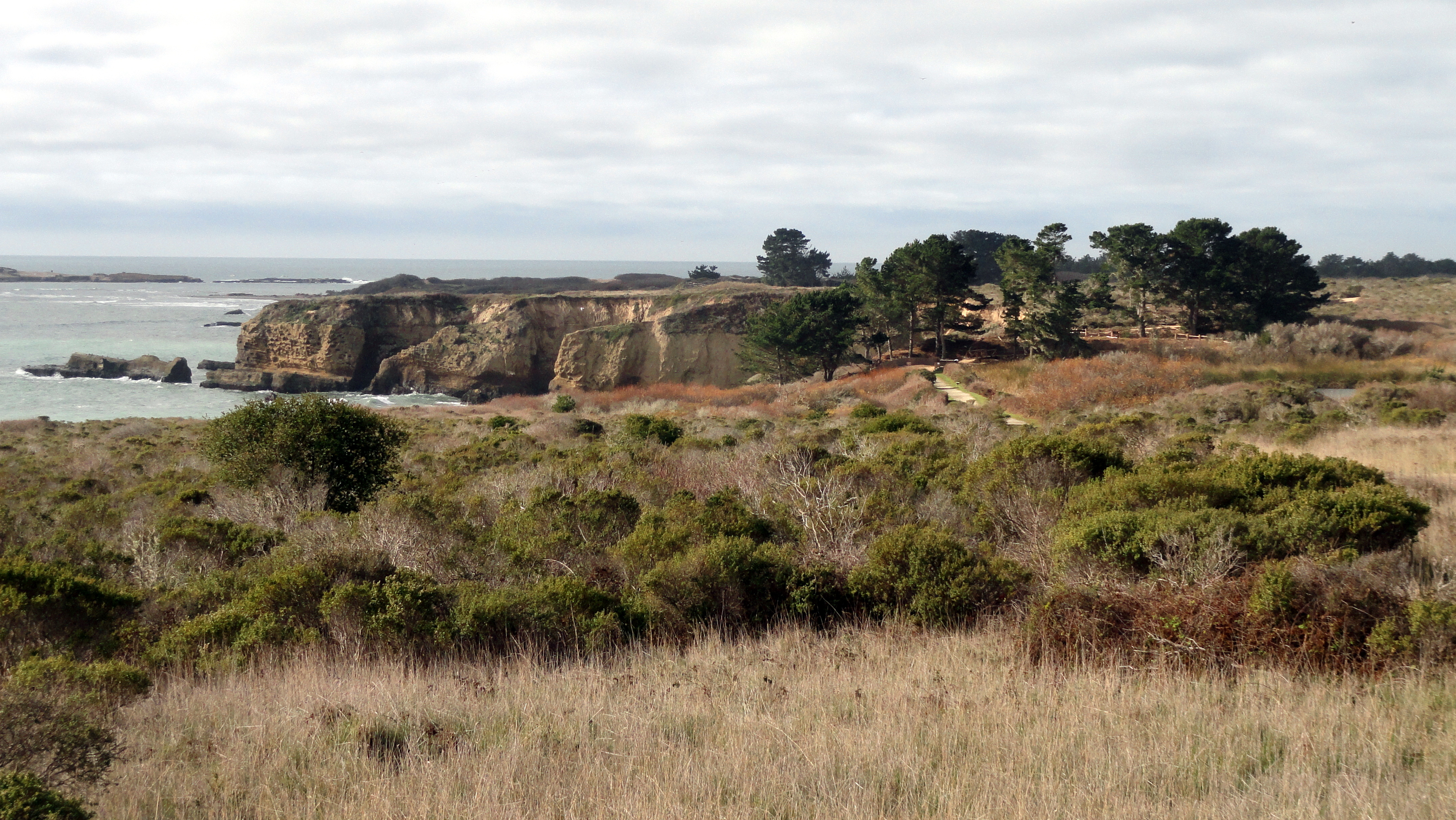 Ano Nuevo Coast3