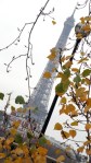 Eiffel Tower w Autumn&nbsp;Leaves