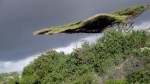 Flat Tree & Clouds on Shela&nbsp;Dunes