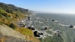 Redwood Coastline 3