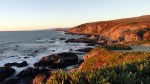 Bodega Head 2
