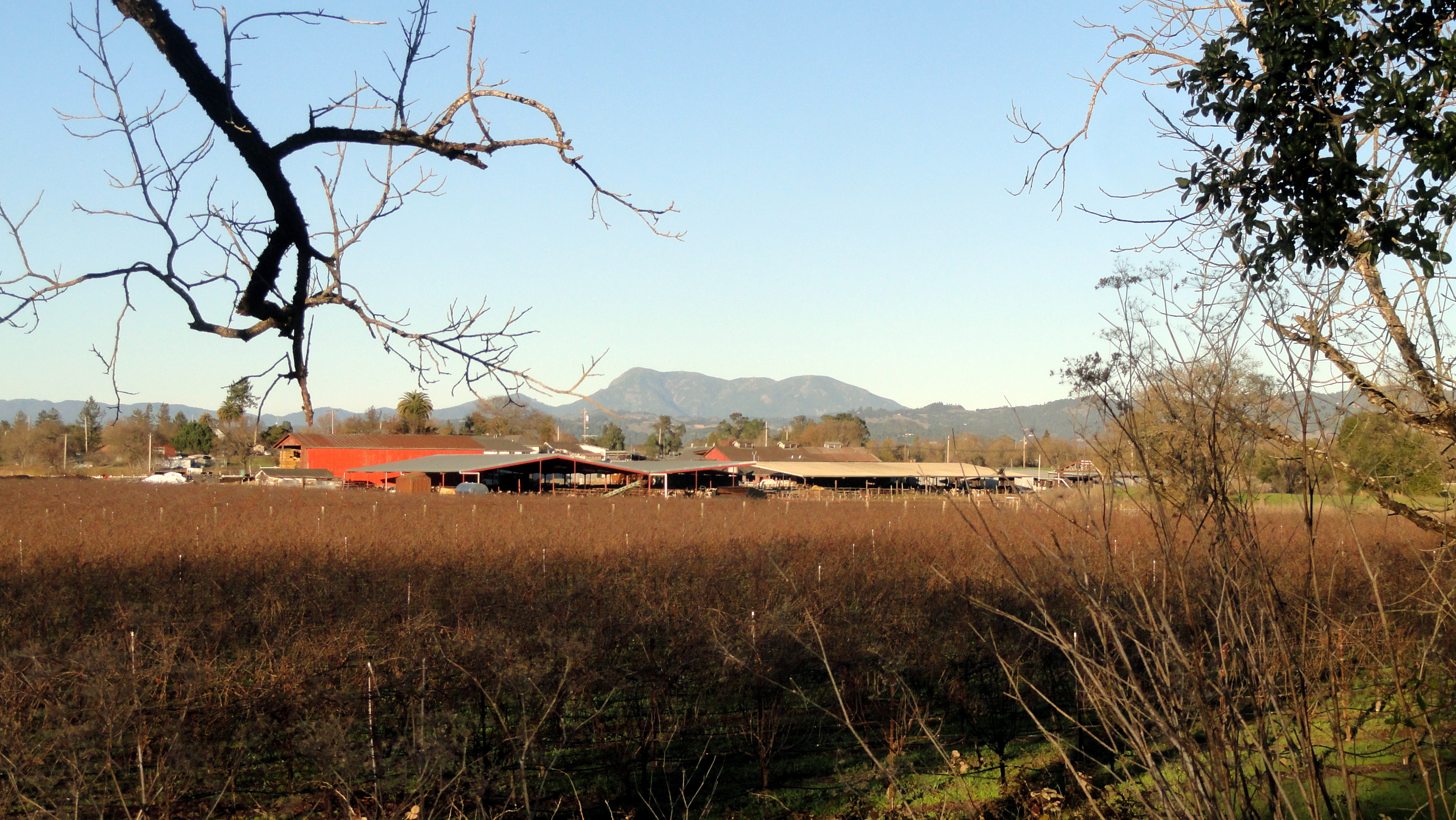 Santa Rosa Creek Bike Trail 2