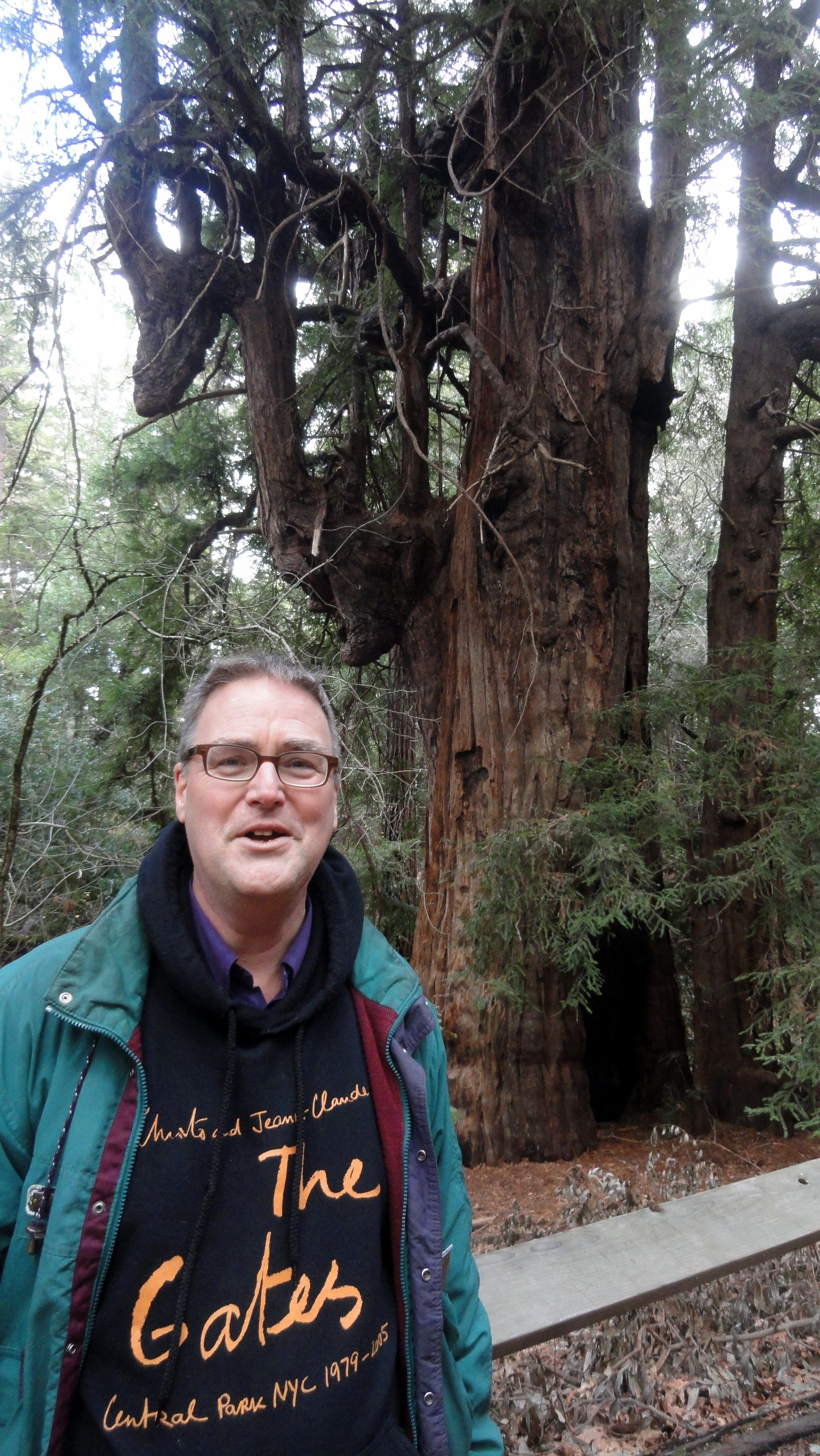 Steve at Jack London SHP Redwood