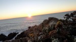 Sunset Bodega Head&nbsp;2