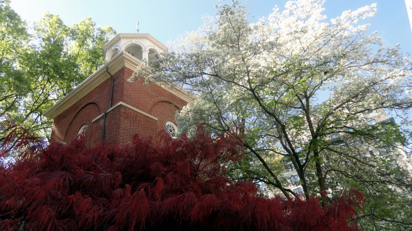 Clock Tower & Spring Foliage
