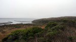 bodega-bay-1
