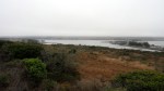 bodega-bay-2