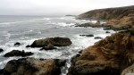 bodega-head-2