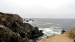 bodega-head-4