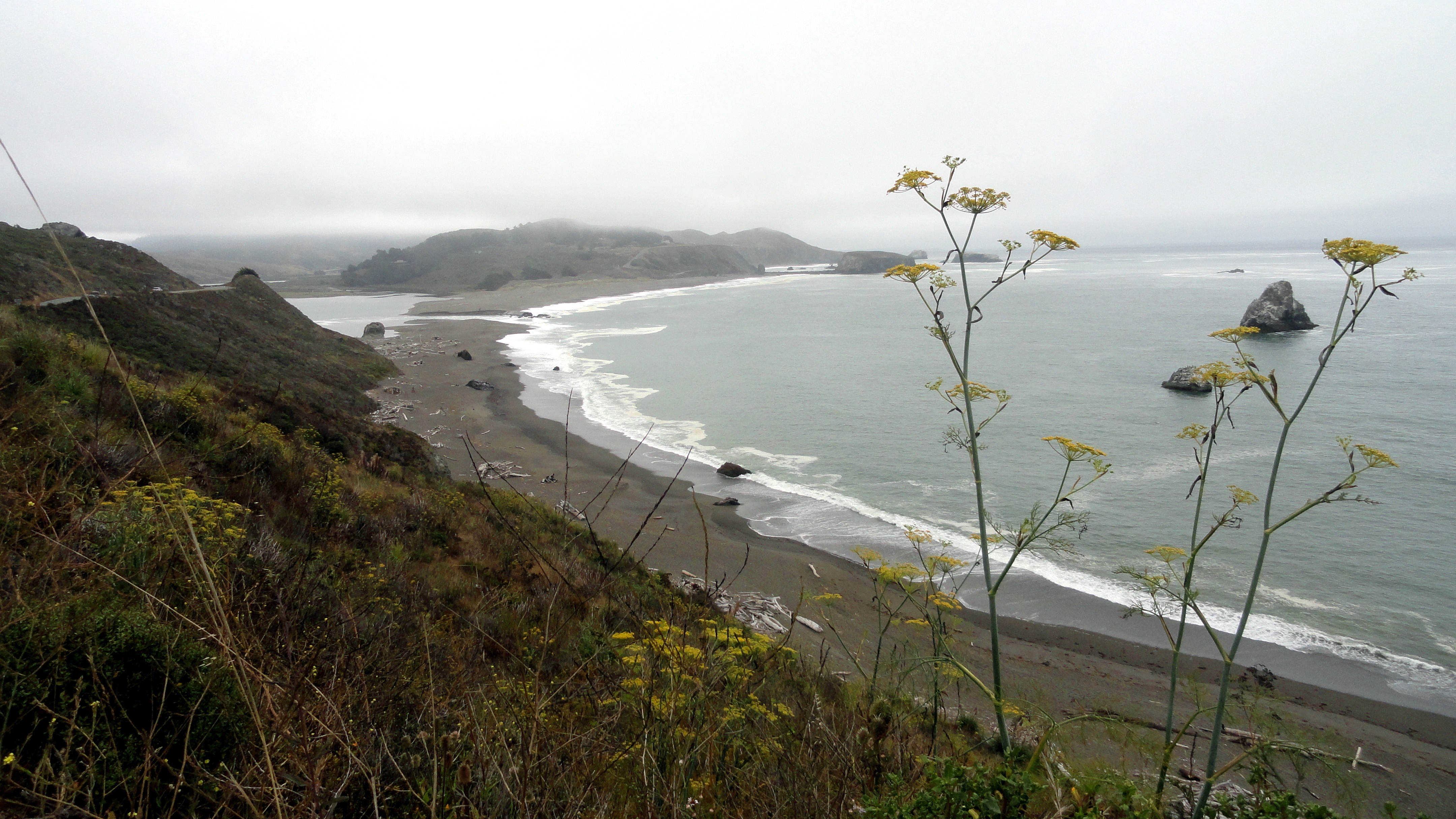 russian-river-meets-pacific-2