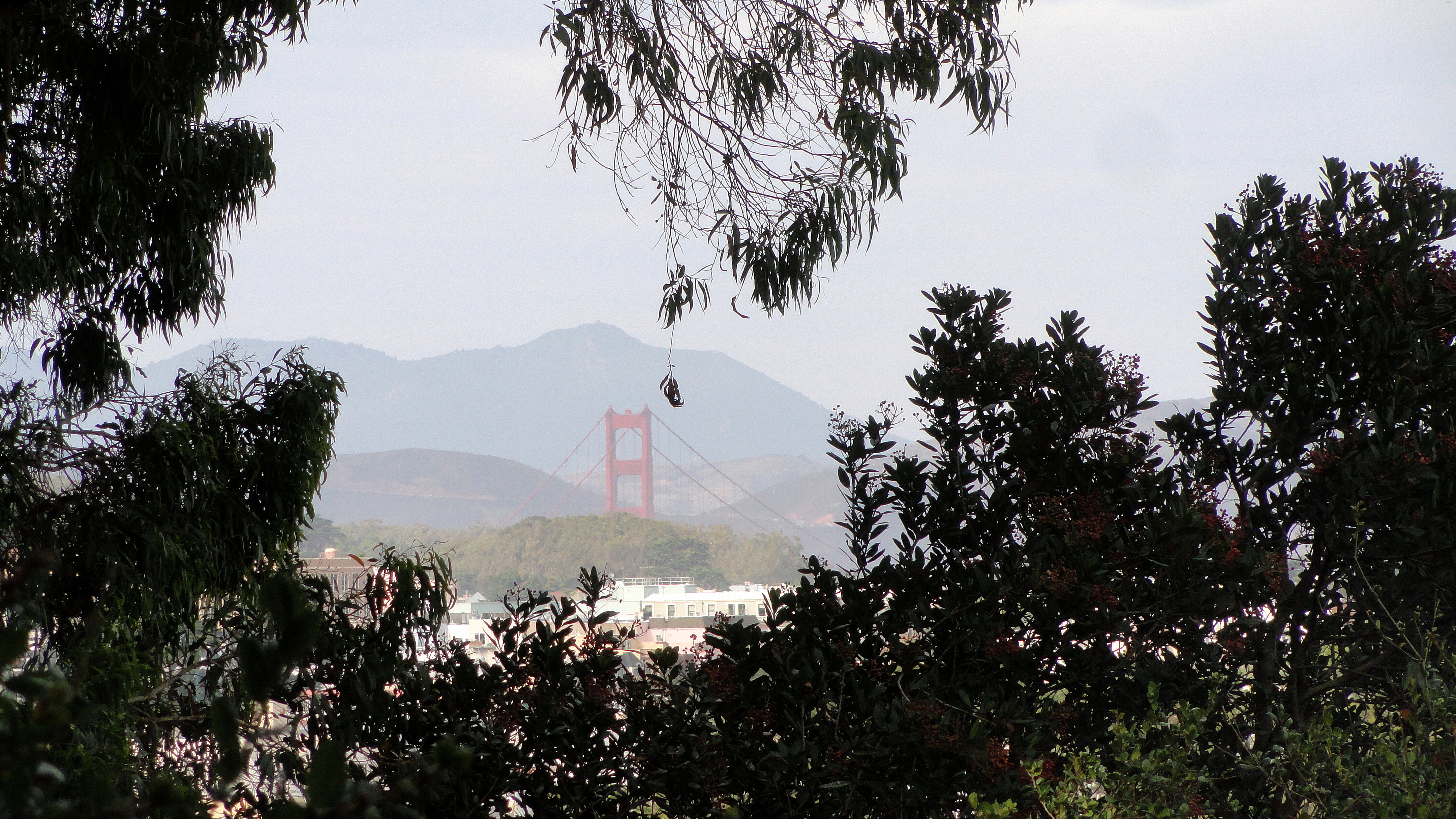 ggb-from-bv-park