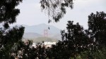 ggb-from-bv-park