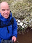 paul-w-icy-plant