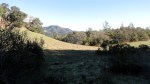 xmas-frost-hood-mtn-park