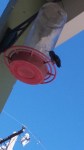 170725 hummingbid feeder