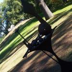 momo toro hillside&nbsp;lawn