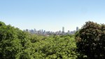 View from Mt Auburn&nbsp;Cemetery