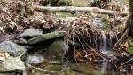 Wachusett Mtn Stream&nbsp;1