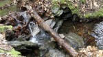 Wachusett Mtn Stream&nbsp;2