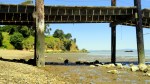 Beach & Hill at China&nbsp;Camp