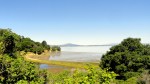 China Camp Cove