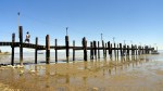 China Camp Pier