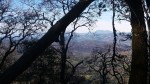 Mt St Helena Through&nbsp;Trees