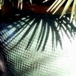 1711 Street Scene&nbsp;2