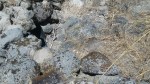 180716 Indicator Rock &&nbsp;gully