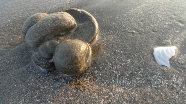 don't ask me what this is