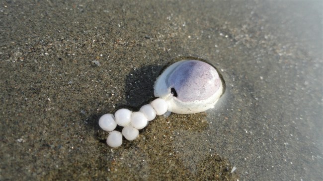 Earring on Beach