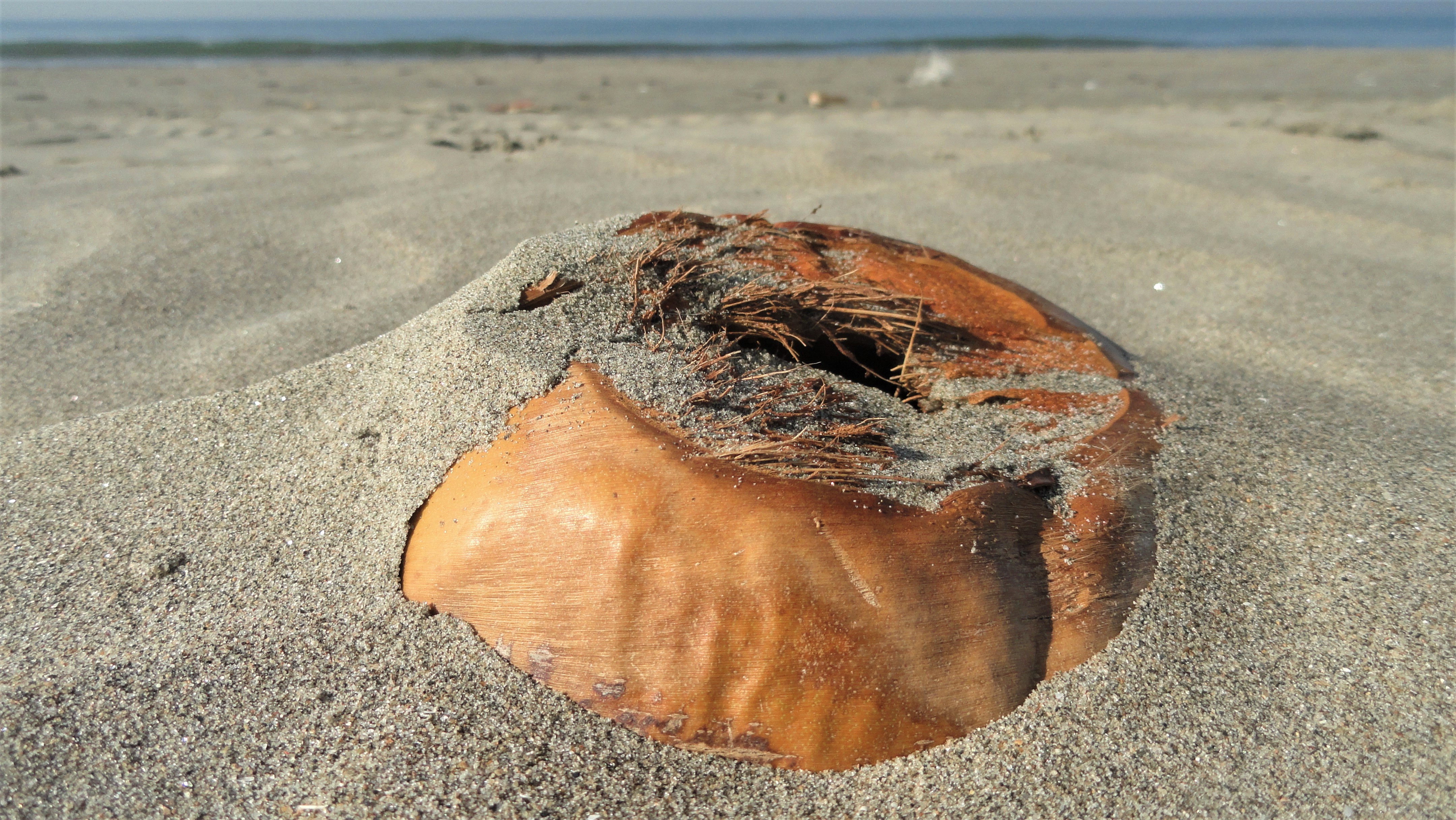 lastweek27scocowater-nostraw