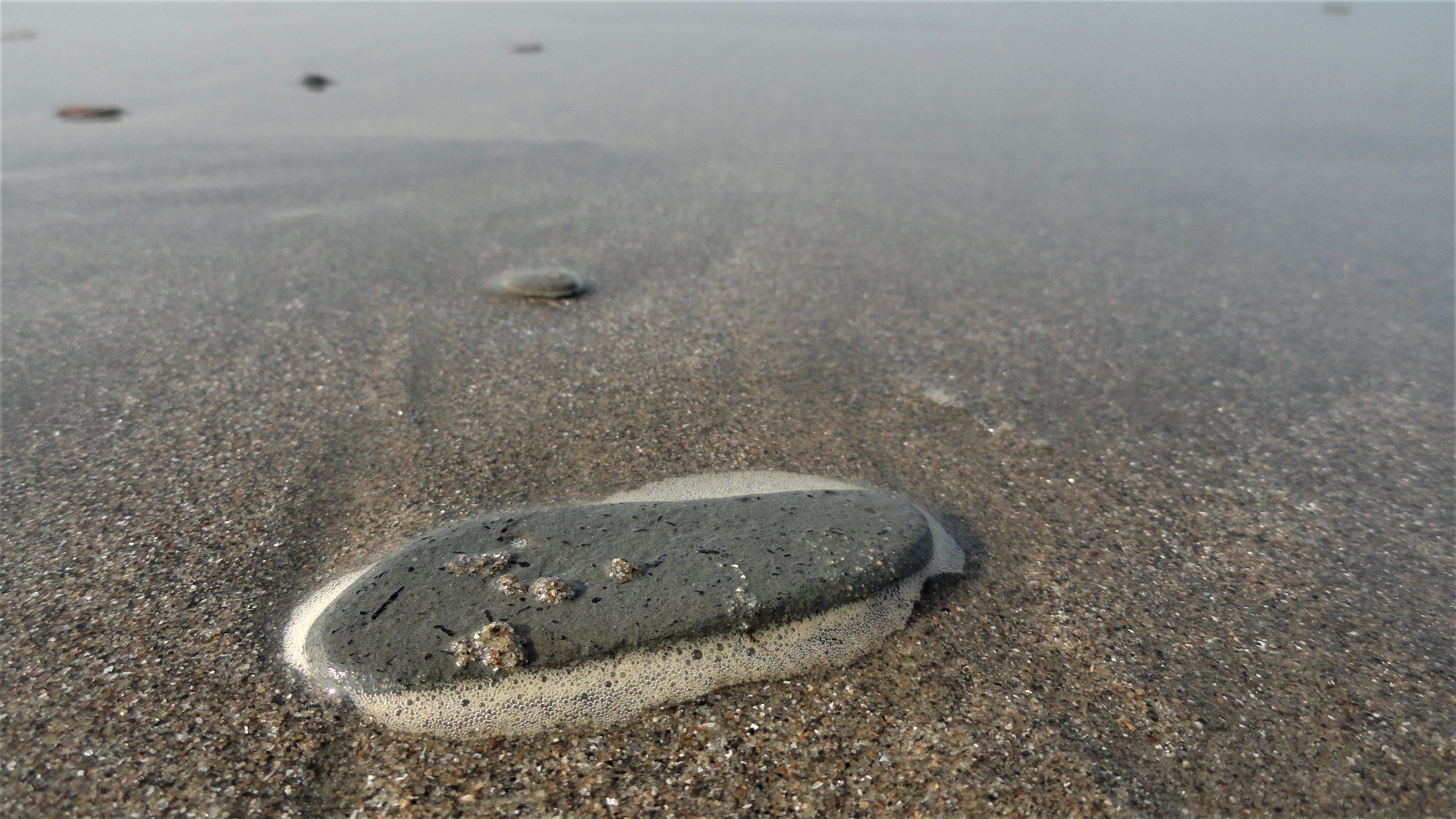 marine meditation stone