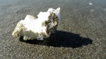 Styrofoam Fragment