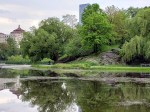 190517 CPark Harlem Meer&nbsp;4