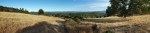 190716 Annadel Meadow&nbsp;Pano